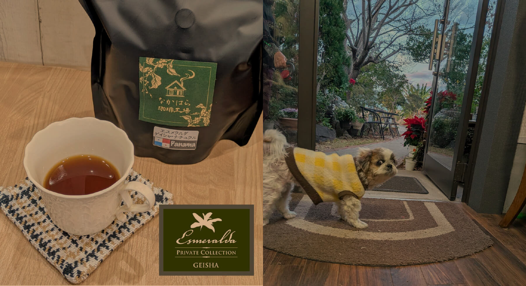 なかはら珈琲工場 モカちゃんと焙煎コーヒー